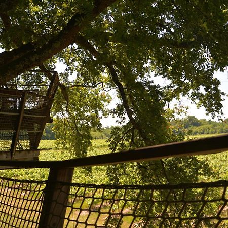 Cabanes De La Romaningue Pompignac Экстерьер фото